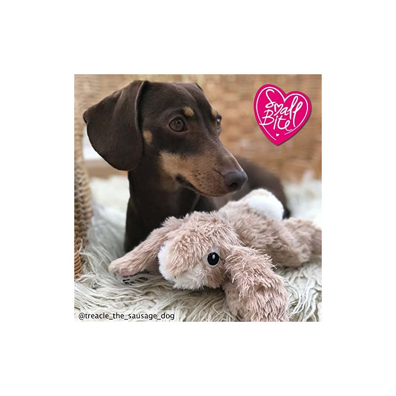 Ancol Small Bite Rabbit Plush Dog Toy, Pack of 1