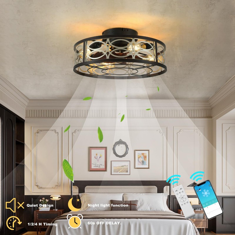 HUEOCZW 20" Caged Ceiling Fan with Light and Remote，bladeless Ceiling