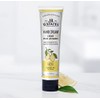 J.R. Watkins Natural Hand Cream, Lemon Cream, 3.3 Ounce