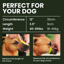 BRONZEDOG Pitbull Dog Muzzle Metal Mask Amstaff Wire Basket Pit Bull Adjustable Leather Straps for Large Dogs (Pink)