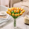 Drewev 30 Pcs Orange Tulips Artificial Flowers Fake Tulip Flowers