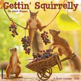 Willow Creek Press Gettin' Squirrelly Monthly 2025 Wall Calendar (12" x 12")