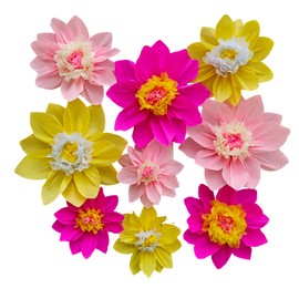 Mybbshower Crepe Paper Flower for Wall Paper Pom Pom Decor Girls Birthday Party Backdrop Baby Shower Nursery Decoration Pack of 9 (hot Pink Yellow)