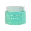 Tony Moly 토니모리 어성초 시카 쿨링 수분 크림 100ml 2개