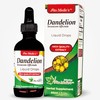 Lab - Dandelion Tincture, Vegan Dandelion Root Drops Supplement for