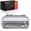 A-Premium Rear Left Driver Side Exterior Door Handle Compatible with