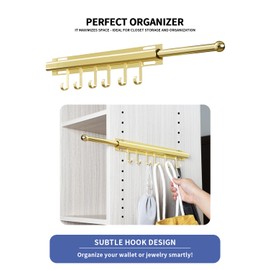 BaiNong Extra long 16.5 inch Valet Rod for Closets Pull Out Closet Valet Rod Slide Out Gold Pull Out Clothes Hanger With 6 Hooks Closet Organization and Storage