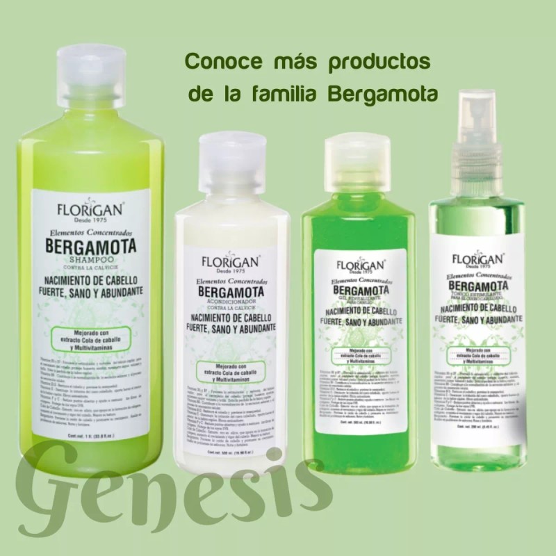 Florigan Shampoo Bergamota Florigan 1lt Crecimiento De Cabello Pack 5