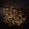 Noma Horses Tail Lights, 10 Strands with 50 LED's (Pack