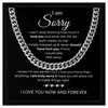 Gifted Happiness Sorry Necklace for Him Sorry Gift Apology Gift