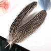THARAHT 24pcs Natural Spotted Feathers Guinea Fowl Wing Feathers 6-8