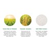 Pack of 6 Queen Elephant Premium Organic White Jasmine Rice