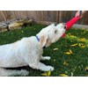 Freedom Dog Tug Toy |2- Handle | Tough & Durable