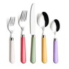 ANNOVA Silverware Set 20 Pieces Stainless Steel Cutlery Color Handle