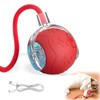 SHANGFEI Interactive Cat Toy Balls,2025 New Interactive Rolling Cat Balls,Smart