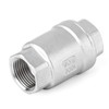 ERGAOBOY 3/4" BSP Female x Female Thread, 304 Cast Check