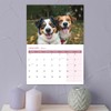 Animal Selfies Calendar 2026 A4 12 Month to View Wall