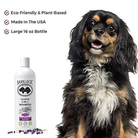 BarkLogic Calming 2 in 1 Shampoo  Conditioner, Lavender, 16 FL oz - Grooming Essentials for A Healthy Coat - No Parabens, No Phthalates, No Sulfates, 