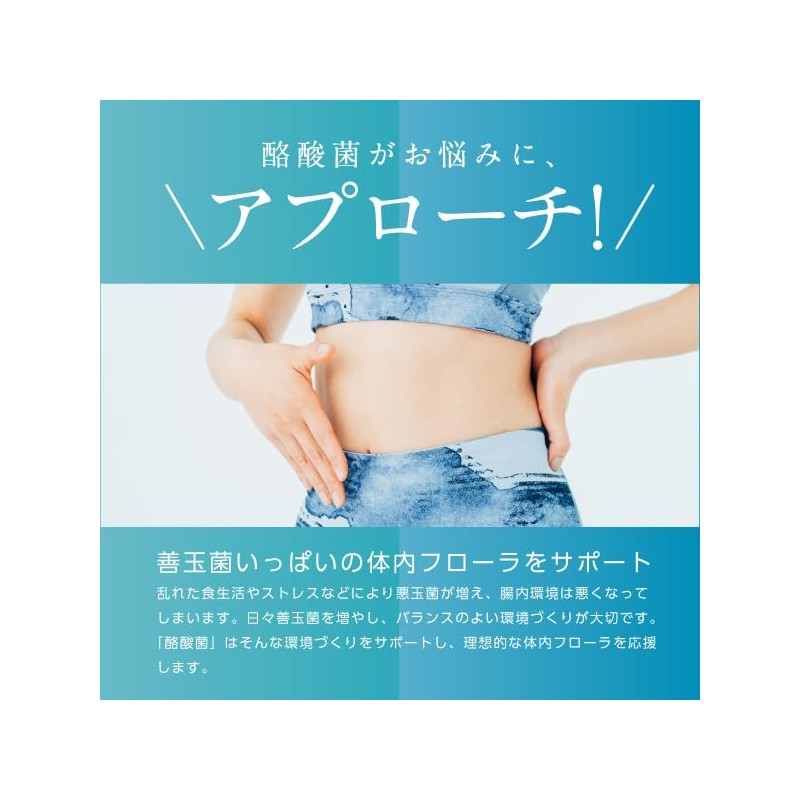 酪酸菌 EX 60粒 3個セット