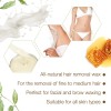GiGi Hair Removal Wax Cream 5 Ounce Soft Wax for