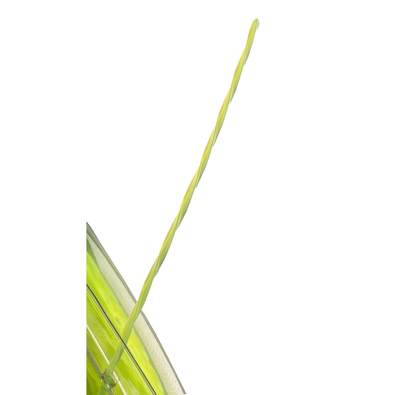 Greenworks 0.095" 100-Foot Twisted String Trimmer Line