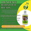 CareFree Enzymes 94177 Cleanser-1 Liter Egg Washing, 33.9 Fl Oz