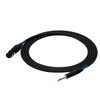 Sound station quality (SSQ) XZJM1 XLR to Jack Cable 1