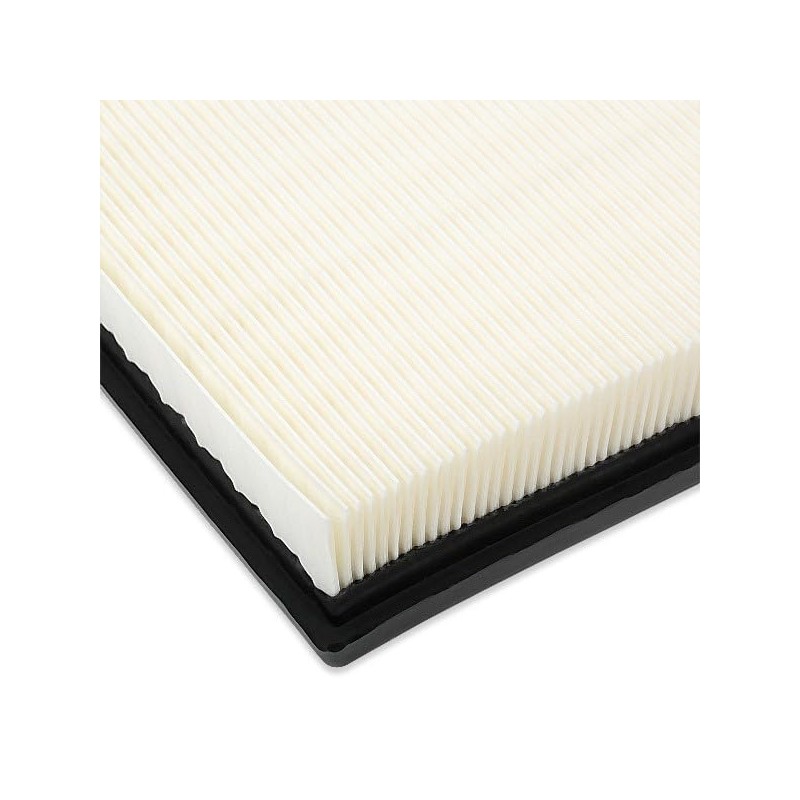 RIDEX 8A0022 Engine Air Filter, Air Filter Insert, Car Filter,