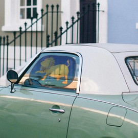 Mr. & Mrs. Panda Car Sun Protection Zodiac Sign Leo - Gift, August Sun Car, Birthday August, Horoscope, Leo Zodiac Sign, King