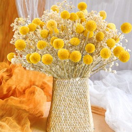 Uieke 30Pcs Natural Dried Flowers Craspedia Billy Balls Flowers Billy Buttons Floral Bouquet for Flower Arrangements Wedding Home Tall Vase Decor Yellow