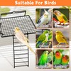 BNOSDM Large Stainless Steel Grid Platform for Parakeet 4 PCS
