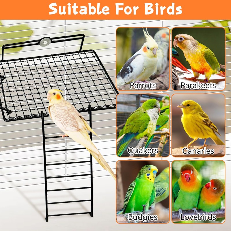 BNOSDM Large Stainless Steel Grid Platform for Parakeet 4 PCS