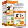 Oimmal Turmeric for Dogs-Eliminate