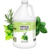 Herb Plant Food for All Edible Herbs, Leafy Greens and