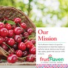 fruitHaven Dried Blueberries, All Natural,Gluten Free, No Perservatives, Good Source