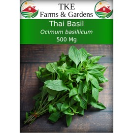 TKE Farms & Gardens - Thai Basil Seeds for Planting, 500+ Non-GMO Heirloom Seeds, Easy-to-Grow Herb, Indoor & Outdoor Gardening, Perfect for Home Chefs and Asian Cuisine, Instructions Included, Qty 1