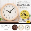 Iris Plaza PWCR-25-M Non-Radio Clock Diameter 9.8 inches (25 cm),