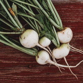 White Globe Radish - 150 Seeds - Heirloom & Open-Pollinated Variety, Easy-to-Grow & Fast-Growing, Non-GMO Vegetable Seeds for Planting Indoors or Outdoors in The Home Garden, Thresh Seed Company