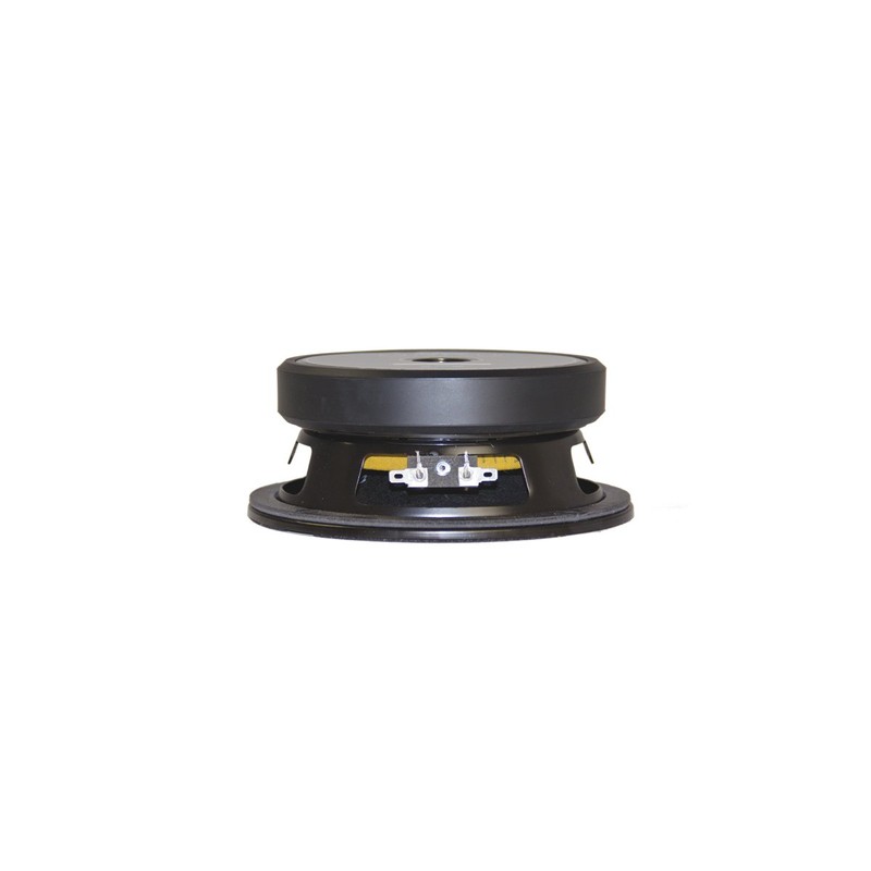 Eminence American Standard Series Beta-6A 6" Mid/Bass Pro Audio Speaker,