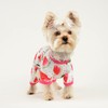 Dog Pajamas for Small Dogs Girl Boy Puppy Pjs Summer