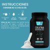 Creatina Monohidratada 1kg Muscle Cla-carnitina 1k Nit-pro