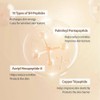 SUNGBOON EDITOR [SUNGBOON EDITOR]*renewal* Silk Peptide Intensive Lifting Ampoule 40ml