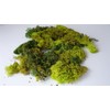 Javis Mixed Green Model Scenic Lichen - Approx 60 Grams