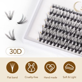 Individual Eyelashes for Eyelash Extension Cluster Eyelashes Individual False Eyelashes Fake Individual Lashes DIY Individual Eyelashes Clusters (30D-D-0.07, mix12-14)