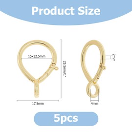 Hobbspring 5Pcs Brass Keychain Clasp Teardrop Key Chain Lock Charms Golden Locking Carabiner Connector Key Chain Ring for Key Chain Handbag Decor Jewelry Making
