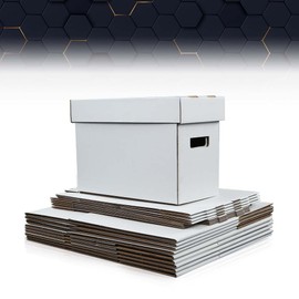 PIT66 10 Pcs Comic Books Storage Boxes With Lids Short Holds 150-175 Stackable Durable Archive White Comic Book Storage