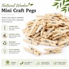 SHATCHI 100pcs 25mm Plain Mini Wooden Craft Pegs Paper Photo