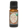 US Organic 100% Pure Clove Stem Essential Oil - USDA