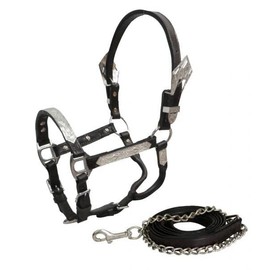 Showman Mini Dark Leather Show Halter w/Lead