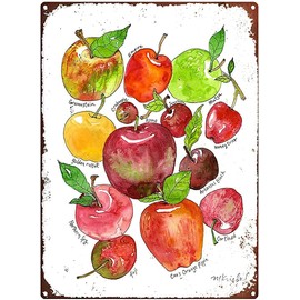 Metal Tin Sign Rustic Large Types of Apples from The Fall Harvest for Home Garden Kitchen Bar Cafe Restaurant Garage Wall Decor Retro Vintage 12x8 Inch